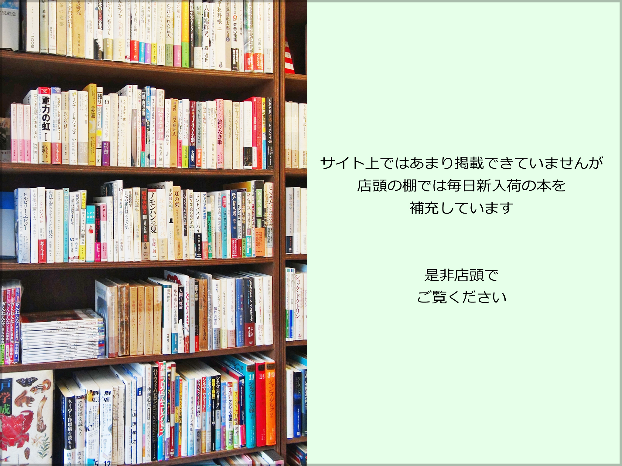 新入荷の本
